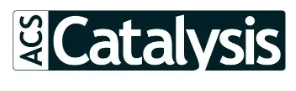 南開大學(xué)朱守非教授新任ACS Catalysis副主編