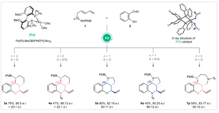 Nat. Chem. | 中國科大黃漢民教授團隊提出自適應動態動力學拆分的新概念