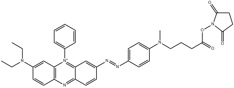 BHQ-3 琥珀酰亞胺酯