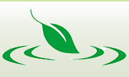 江西環球天然香料有限公司logo