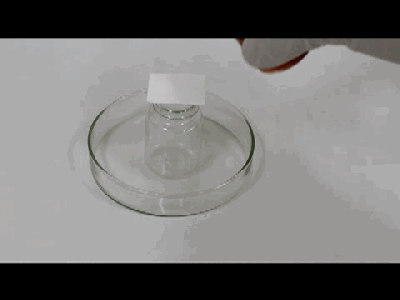 圖2.gif