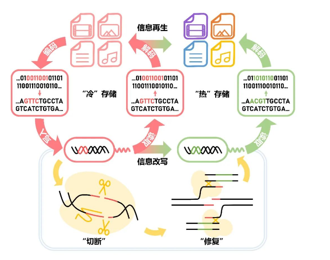 1660189210953014.png image.png