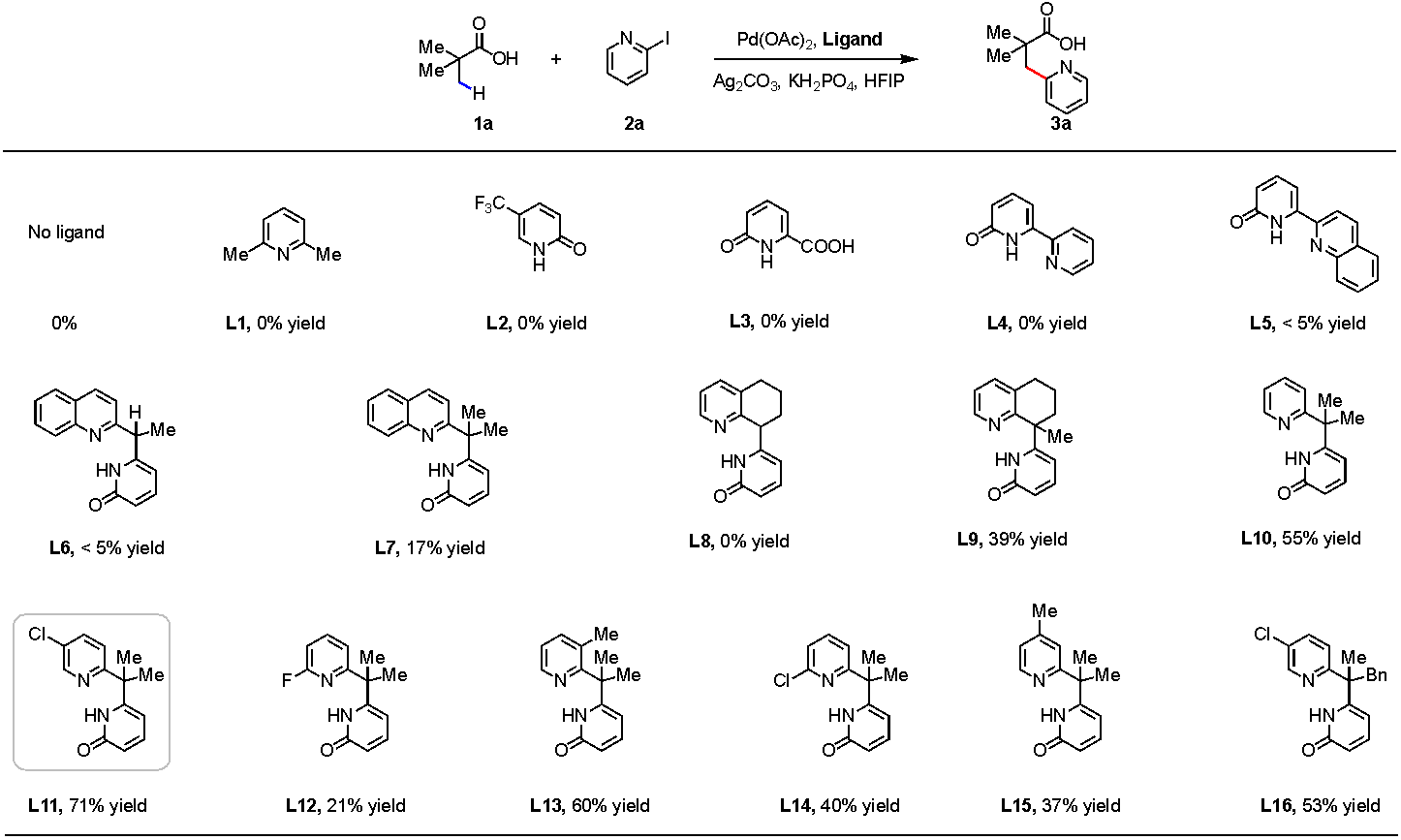 圖片4.png